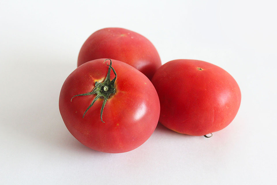 トマトのフリー写真画像素材 イラストフォト